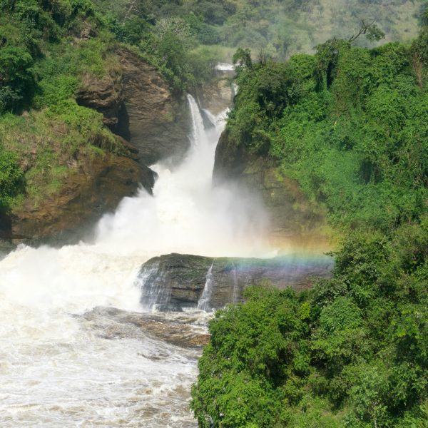 03 Days Safaris To Murchison Falls National Park The Strongest Water Falls